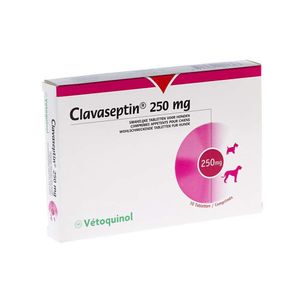Clavaseptin P 250 mg Tabs