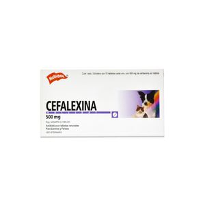 Cefalexina 500 mg.