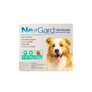 Nexgard Dog L ( 10.1- 25 kg )