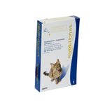 Revolution-Azul-Gatos-1-PIPETA.jpg