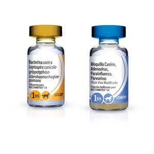 Recombitek C8