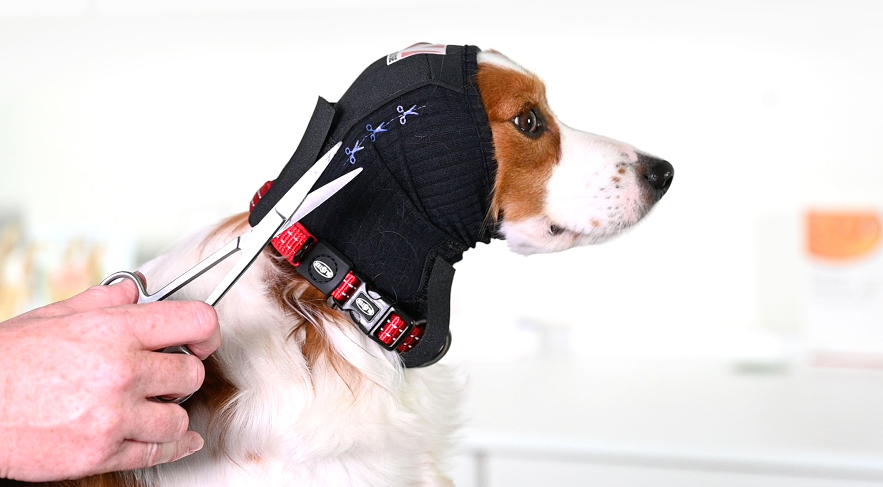 KR161649 Ear Cover XL
