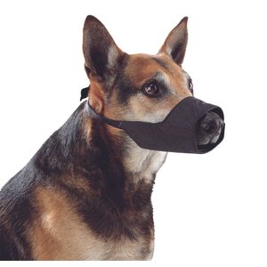 KR279469 Bozal de Nylon p/perro L amaril