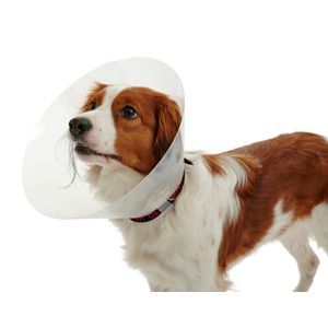 KR273481 Clic Collar Isabelino 10 cm.