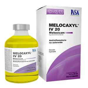 Melocaxil IV Iny. 20 ml.