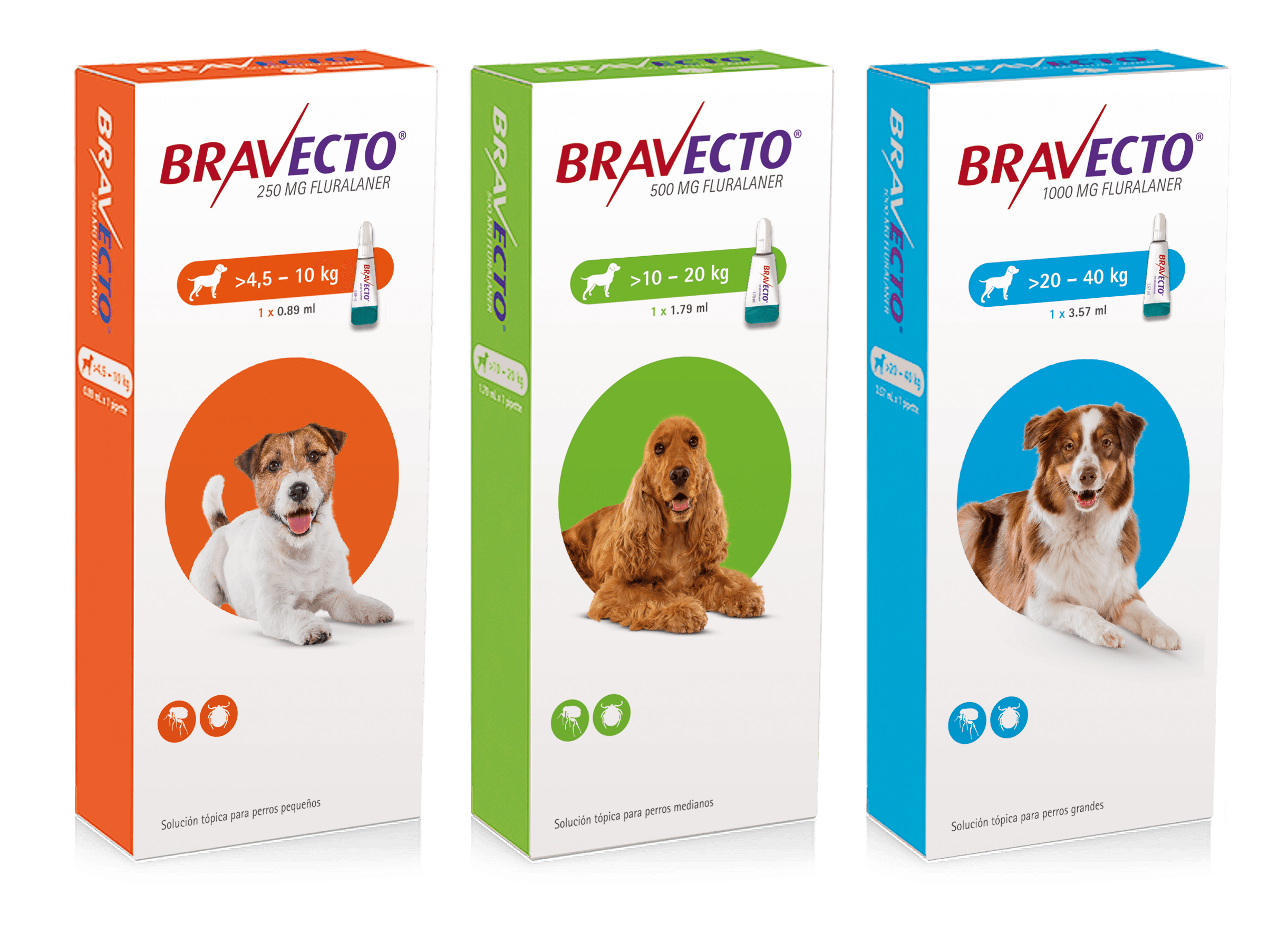 bravecto-spot-on-dog-500mg