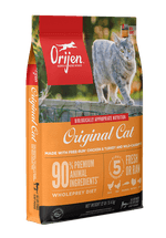 Cat---kitten-cat-orijen-5