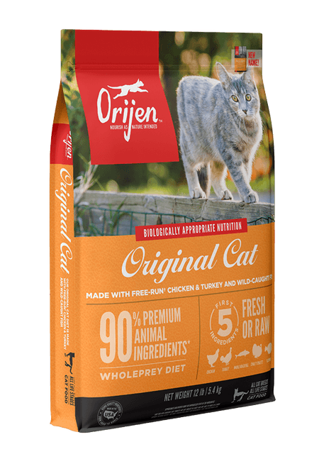 Cat---kitten-cat-orijen-5