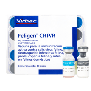 Feligen C-R-P-/ Rabia