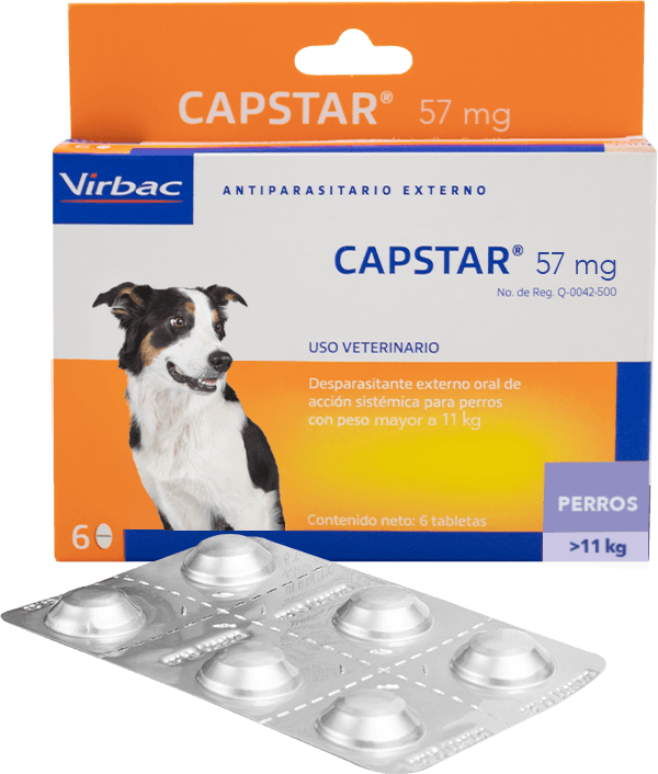 Capstar virbac outlet