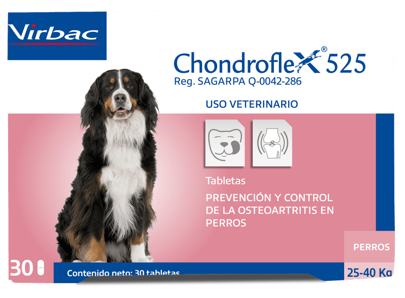 Chondroflex525