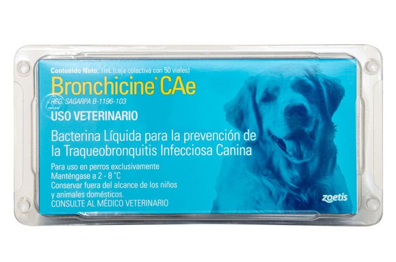 BRONCHICINE-CAE-CAJA