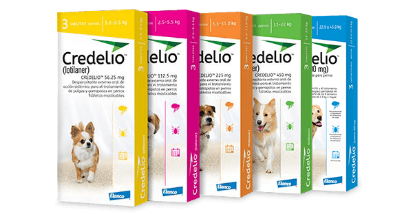 pack_600x312-new--1-
