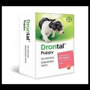 DRONTAL PUPPY 20 ml