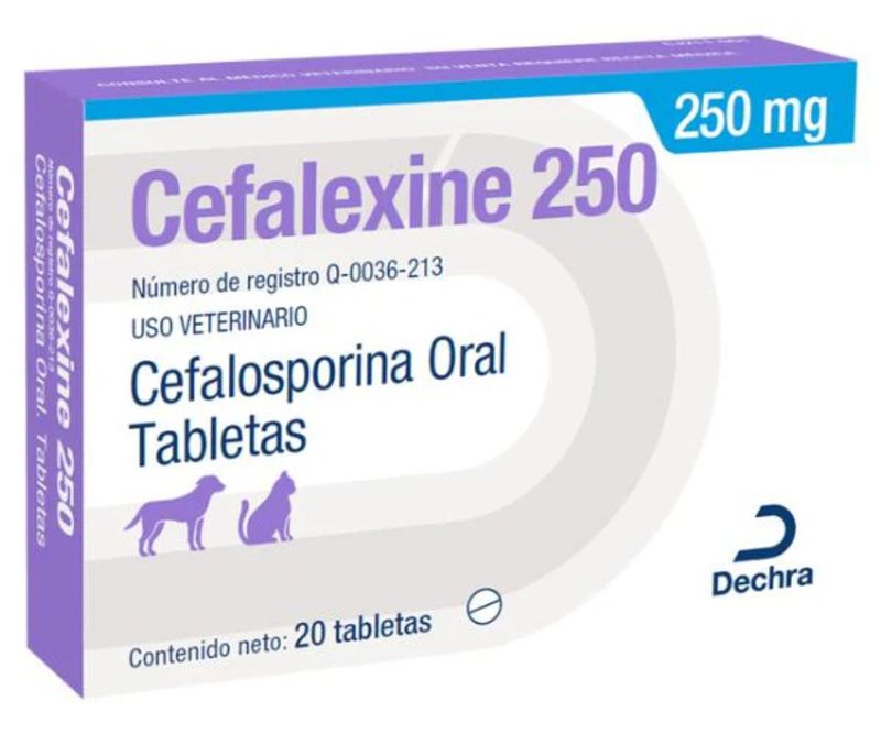 Cefalexine-250-mg-20-Tabletas