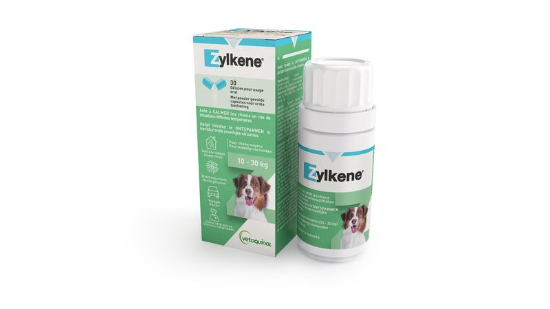 ZYLKENE-30-Capsule-225MG-Carton---Bottle