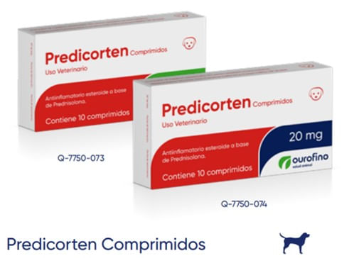 Predicorten 5 mg C/10 tabs