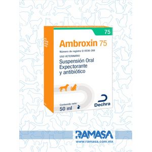 Ambroxín 75