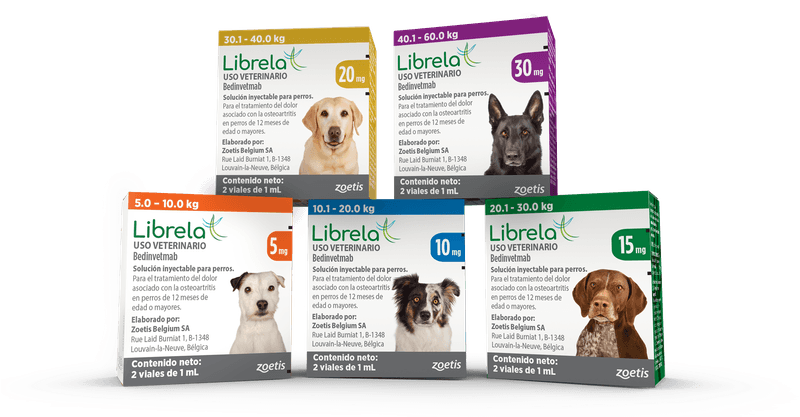 AC-ProductShot-Librela-Familyshot--2-