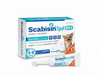 scabisin-05