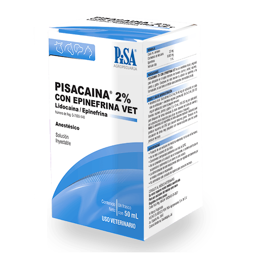 Pisacaina-con-Epinefrina-2_web