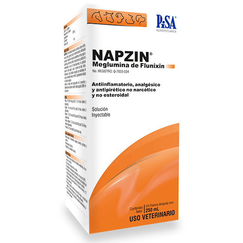 Napzin-Web