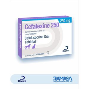 Cefalexine 250 mg 20 Tabletas