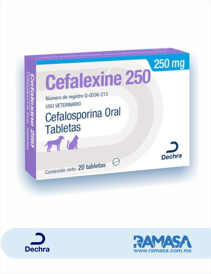 Cefalexine-250-mg-20-Tabletas