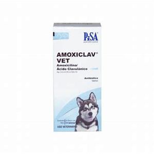 Amoxiclav vet 14 tabs.