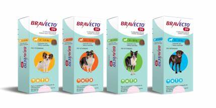 bravecto-1M