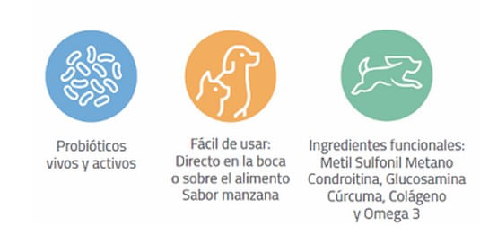 ACTIGEL-MOVILIDAD-2