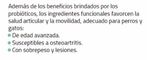 ACTIGEL-MOVILIDAD-3