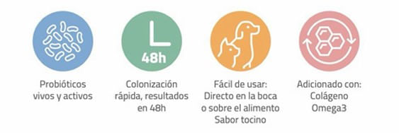 ACTIGEL-DIGESTIVO-2